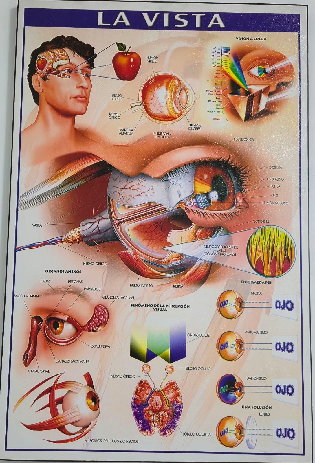 Maria Elena Rodriguez Miguel-5