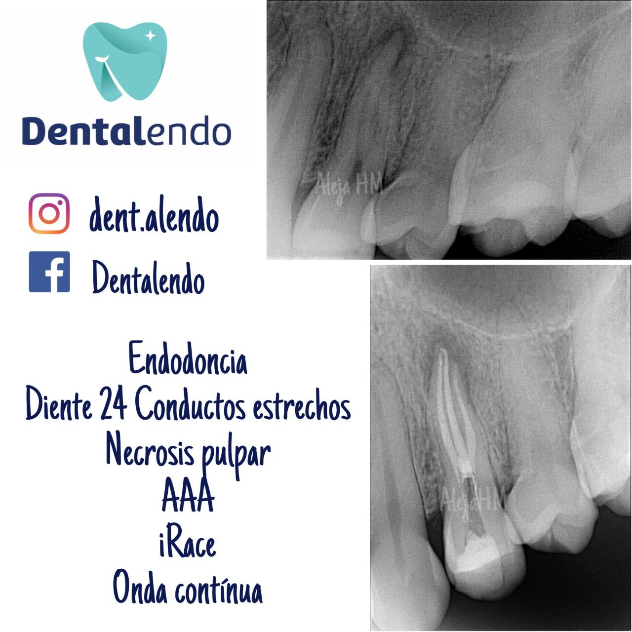 Alejandra Heredia Morán-12