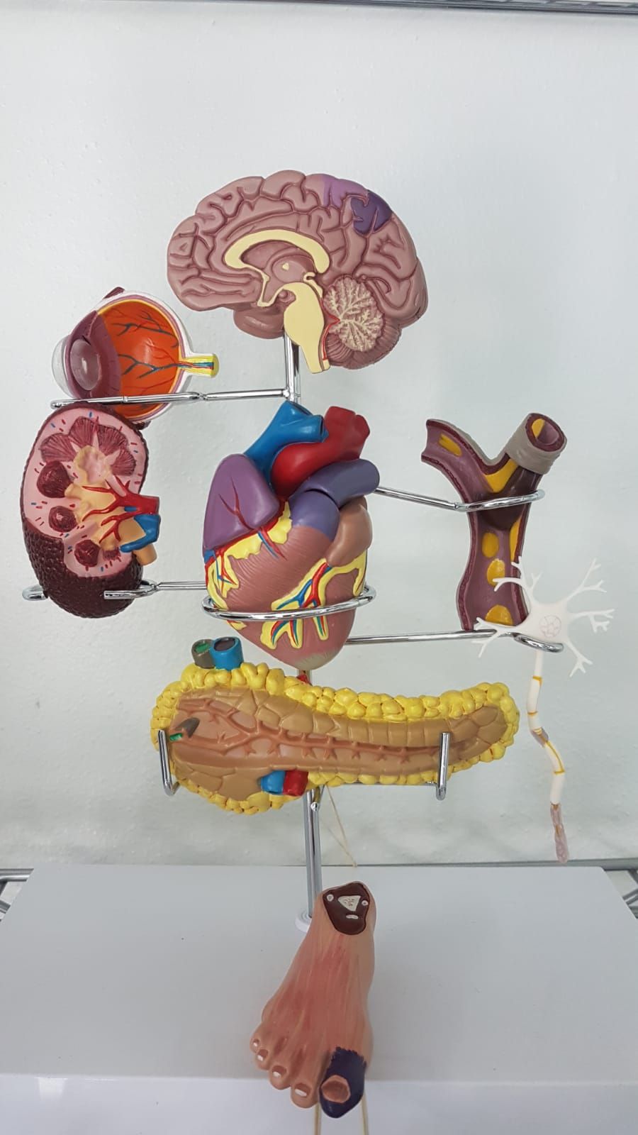 Isianel Delgado Martínez-3