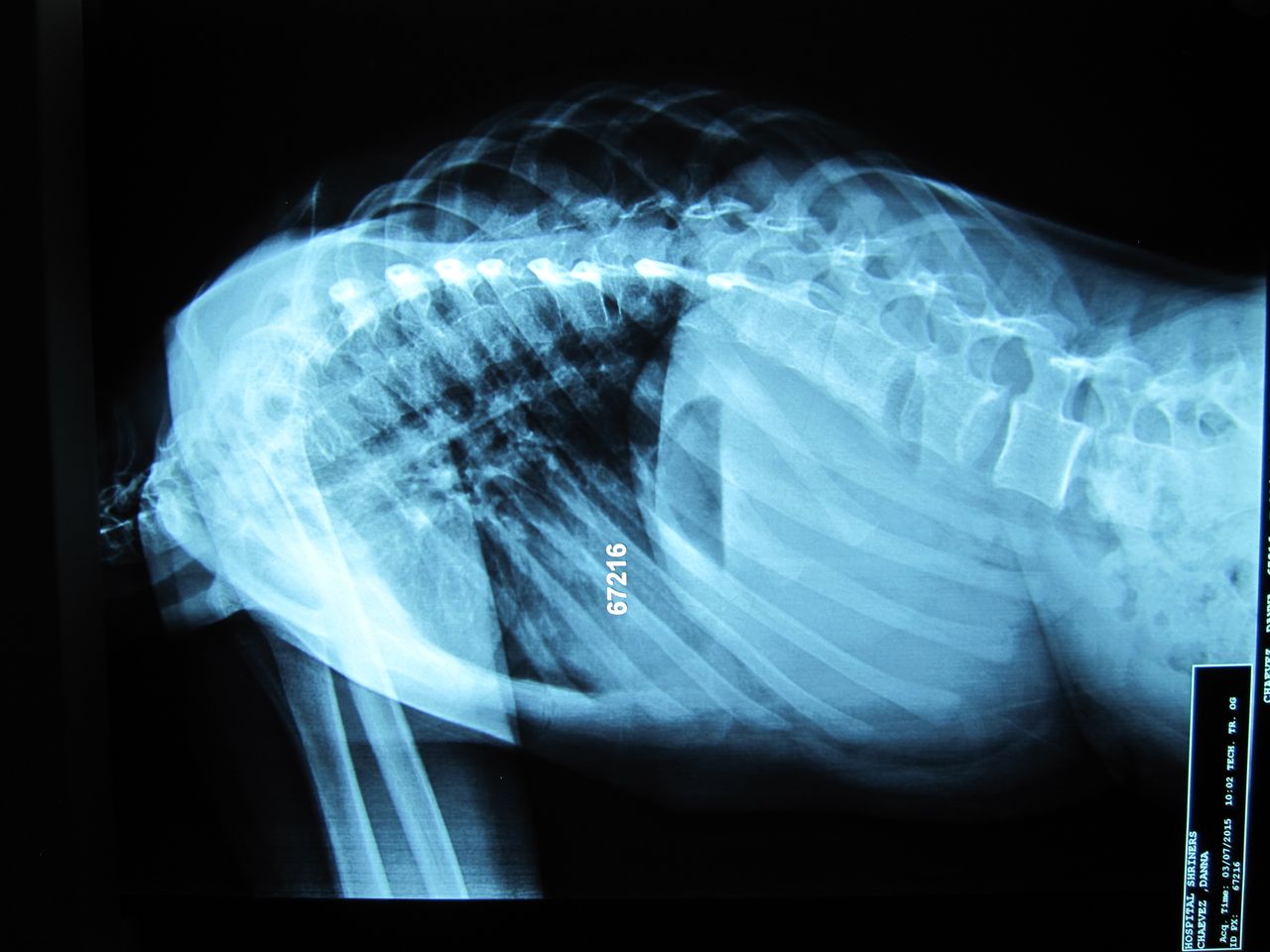 José Antonio Canales Najera-8