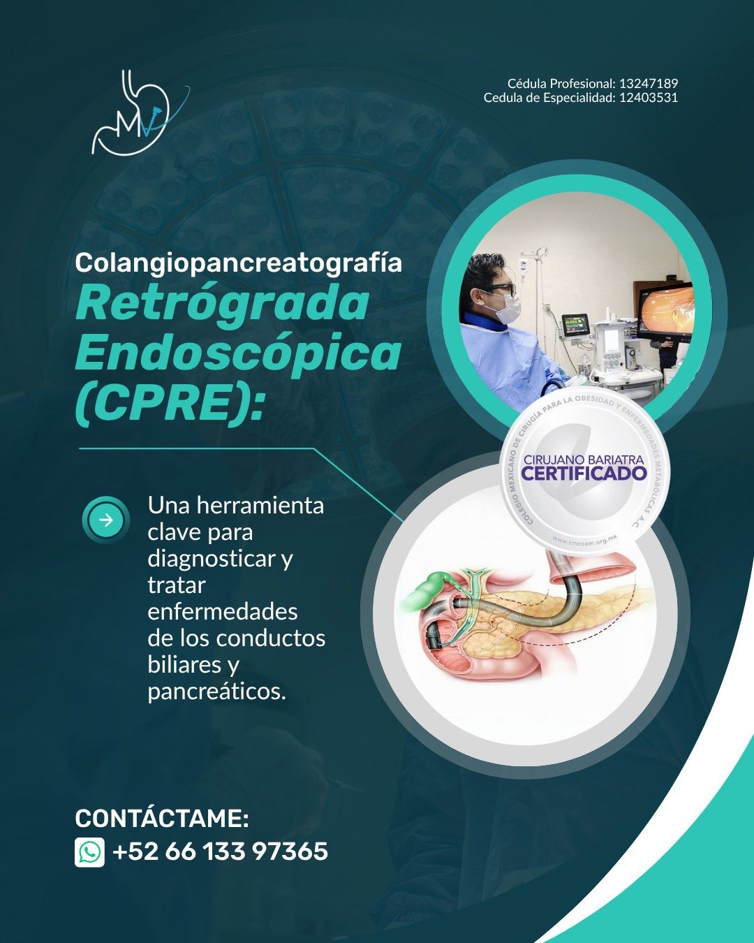 Marco Antonio Vargas Tames-5