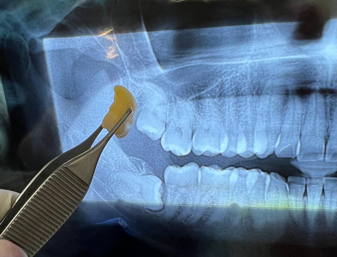 Maryxell Paz González-13