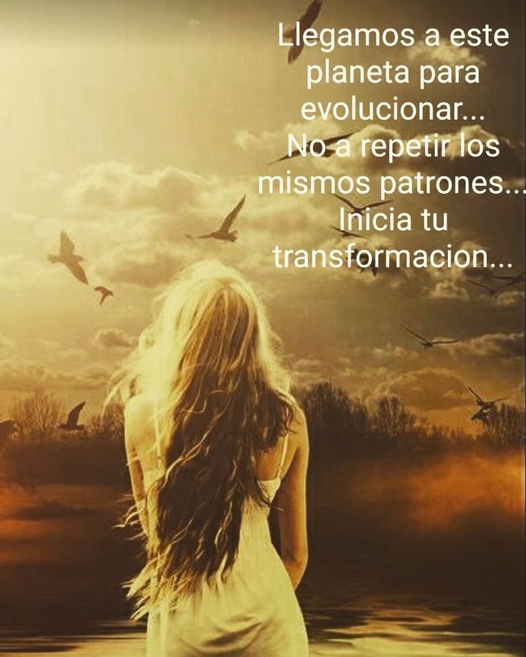 Angelica Meza Lopez-10