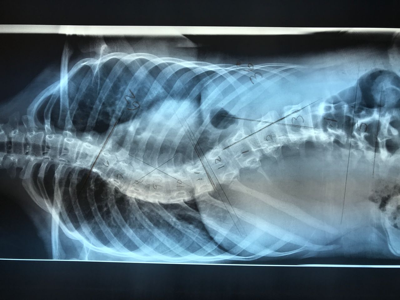 José Antonio Canales Najera-16