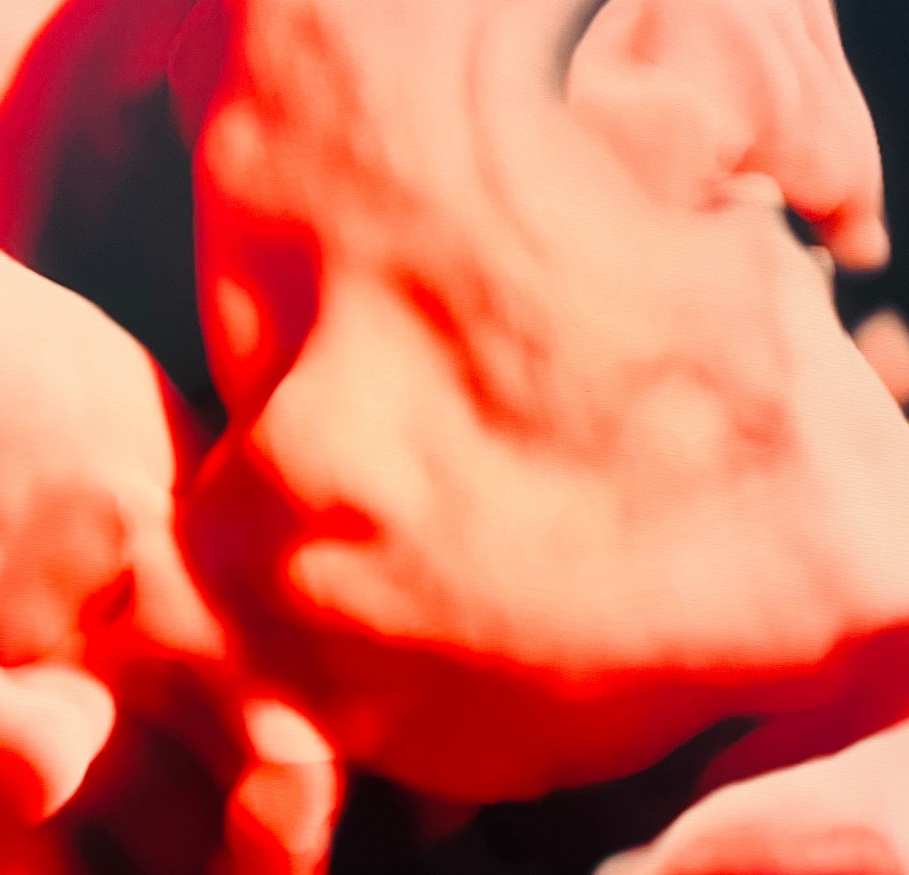 Benjamín Isai Molina Solís-8