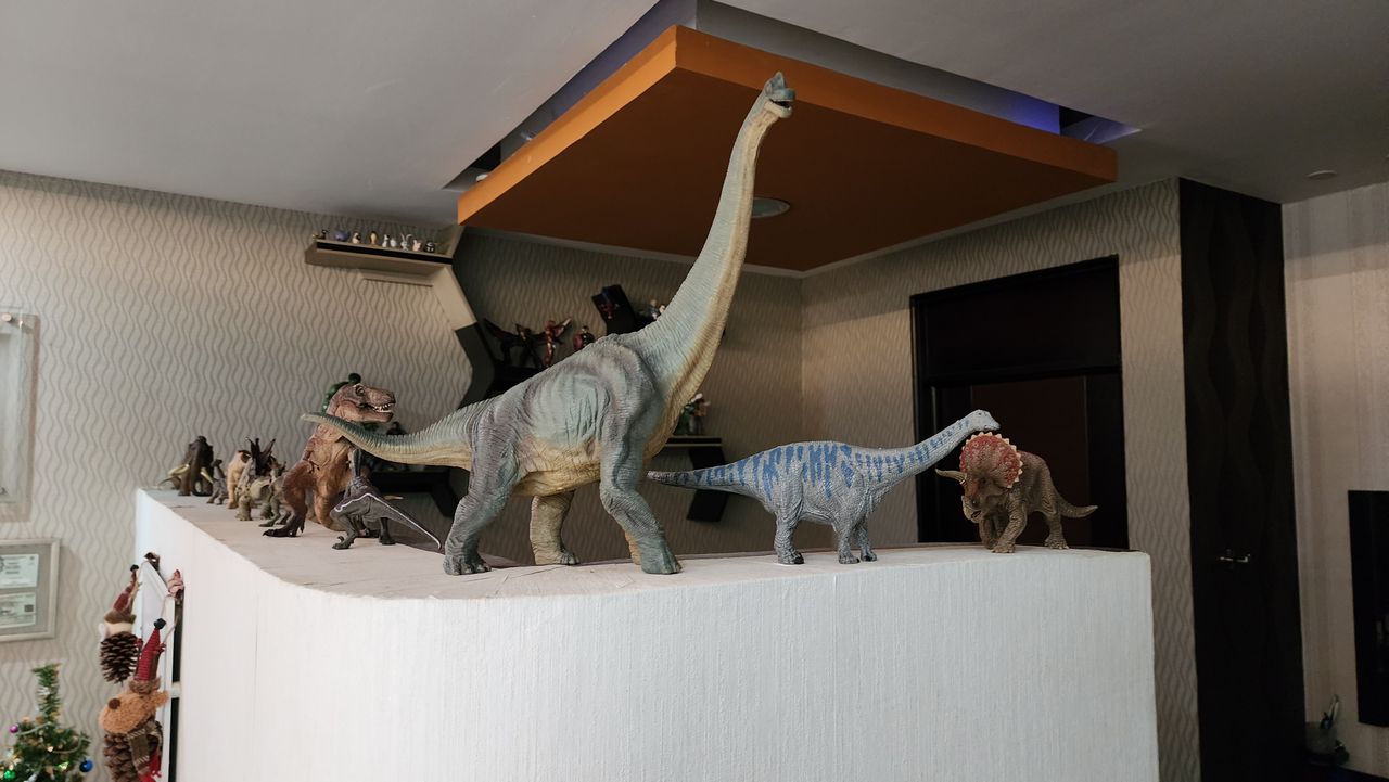 Mario Alberto Mora Sagrero-36