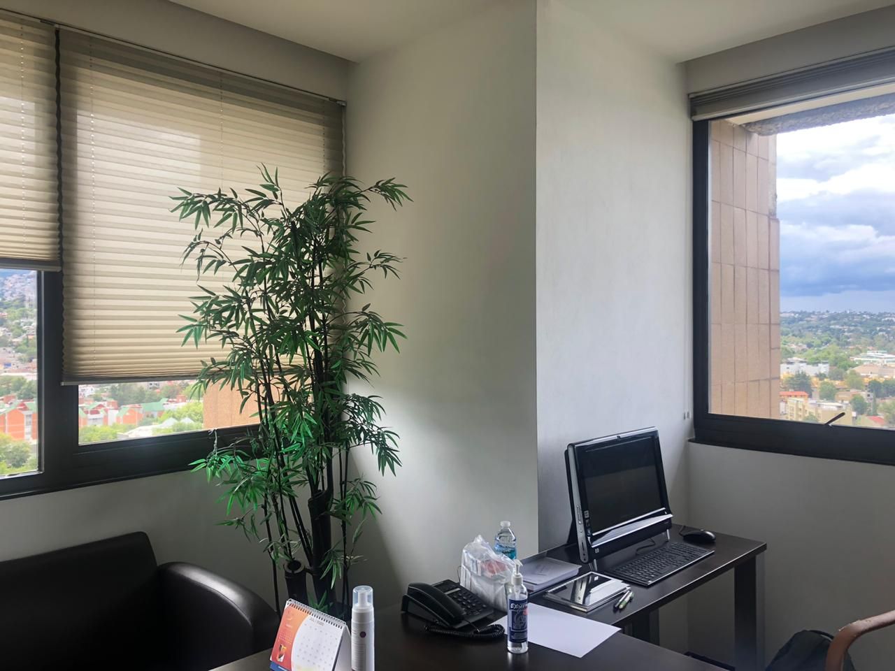 Paloma Almeda Valdés-3