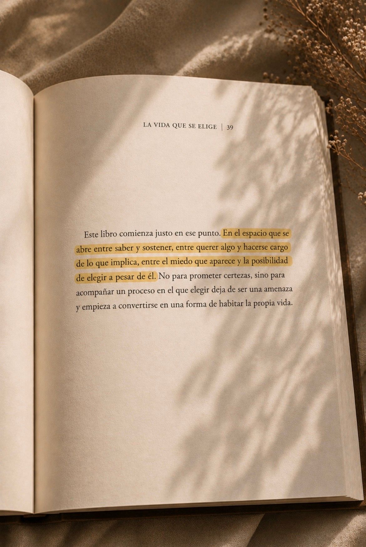 Cecilia Madrazo Riba-1