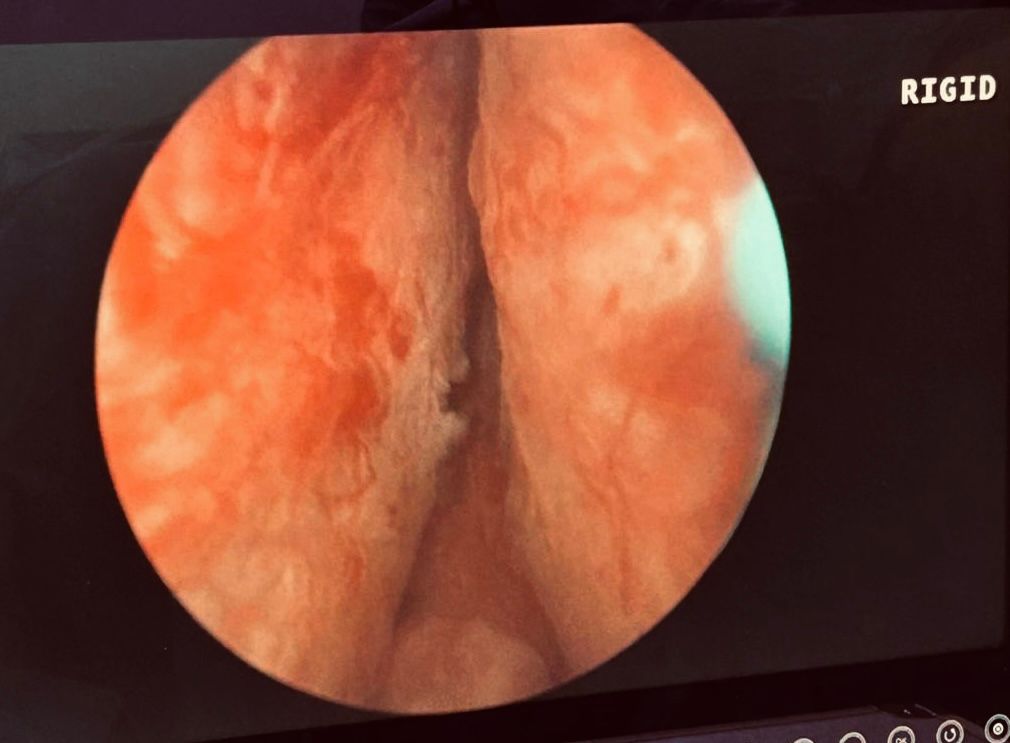 Mario Castillo Archila-7