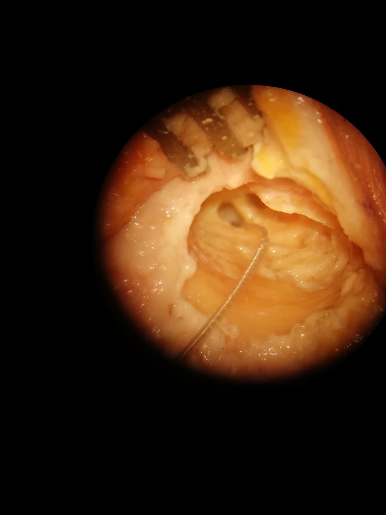 Diana Rivero Méndez-2