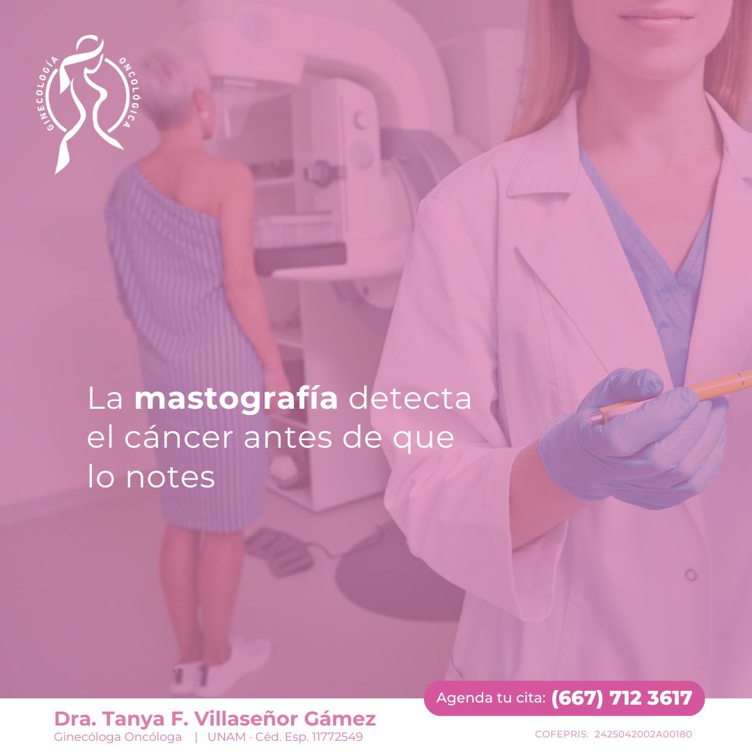 Tanya Fabiola Villaseñor Gámez-3