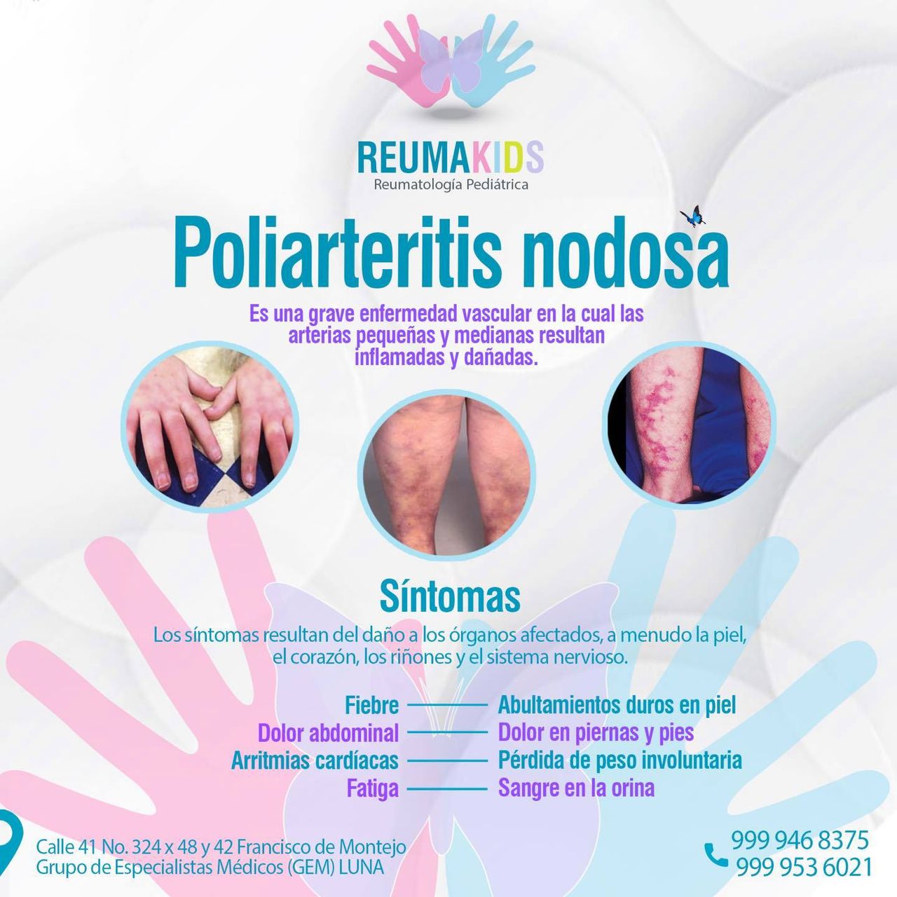 Andrés Noé Rodríguez García-9