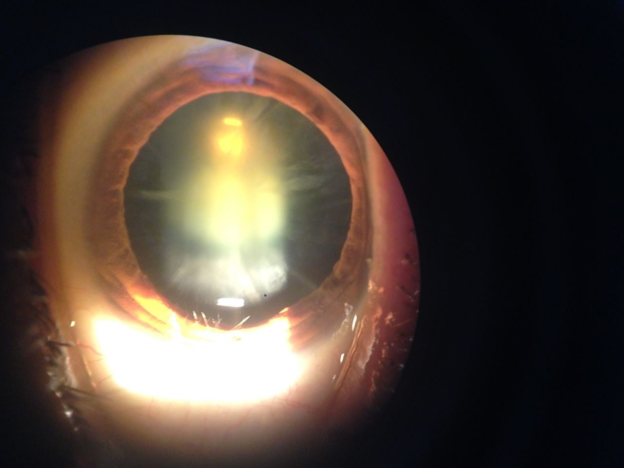 María De Lourdes Ortiz Parra-3