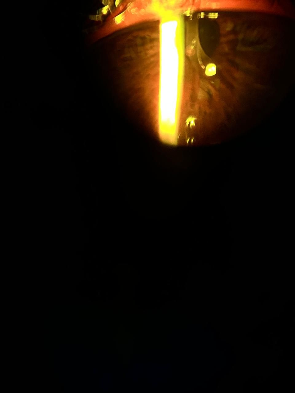 Daniel Martin Laguna Muñoz-51