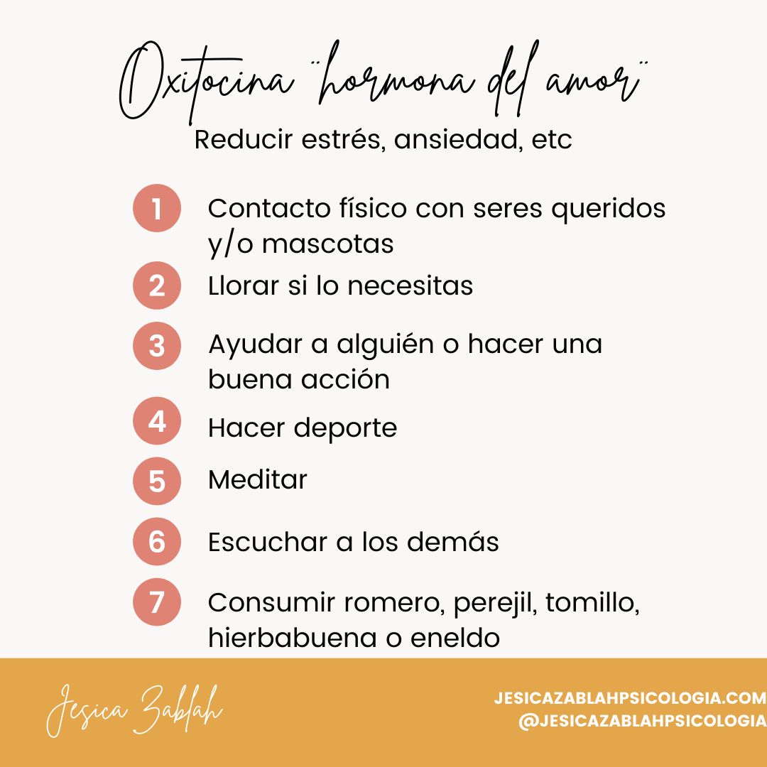 Jesica Zablah Soberon-11