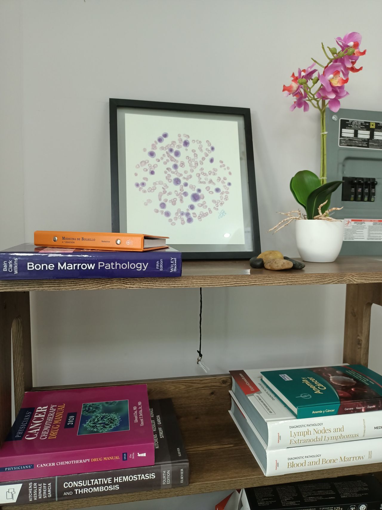 Noé Benjamín Vega Tapia-2