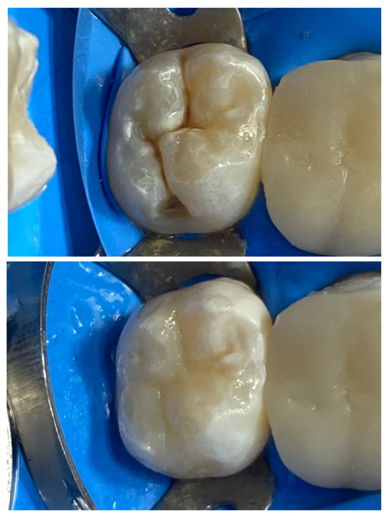 Luis Arellano De León-12