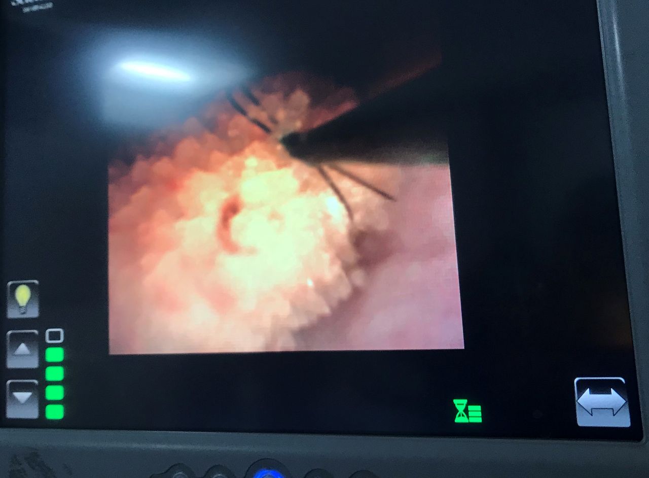 María Teresa Moreno Y Suárez-6