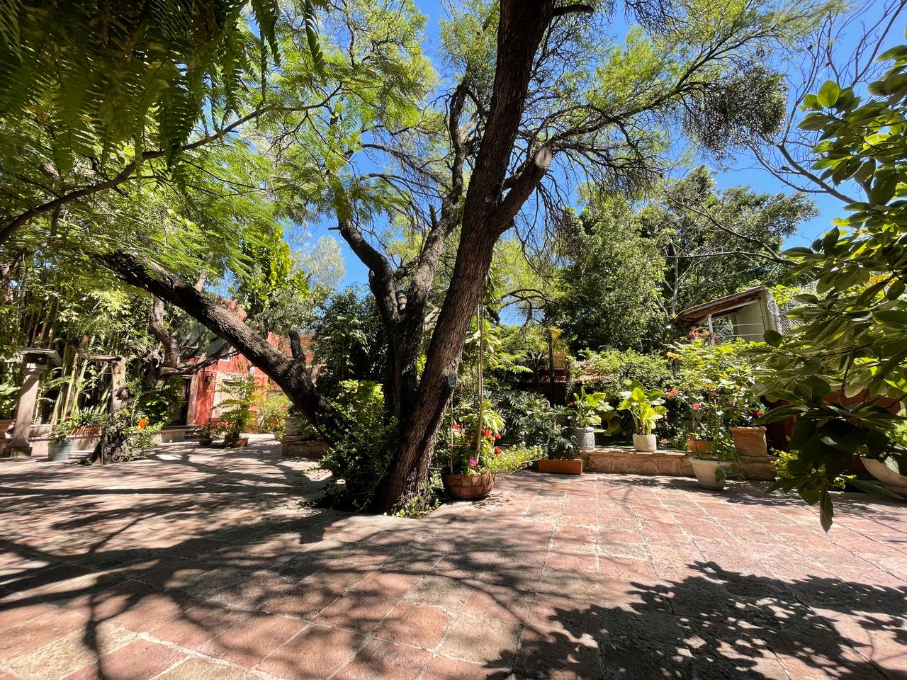 Laura Evia Escalante-12