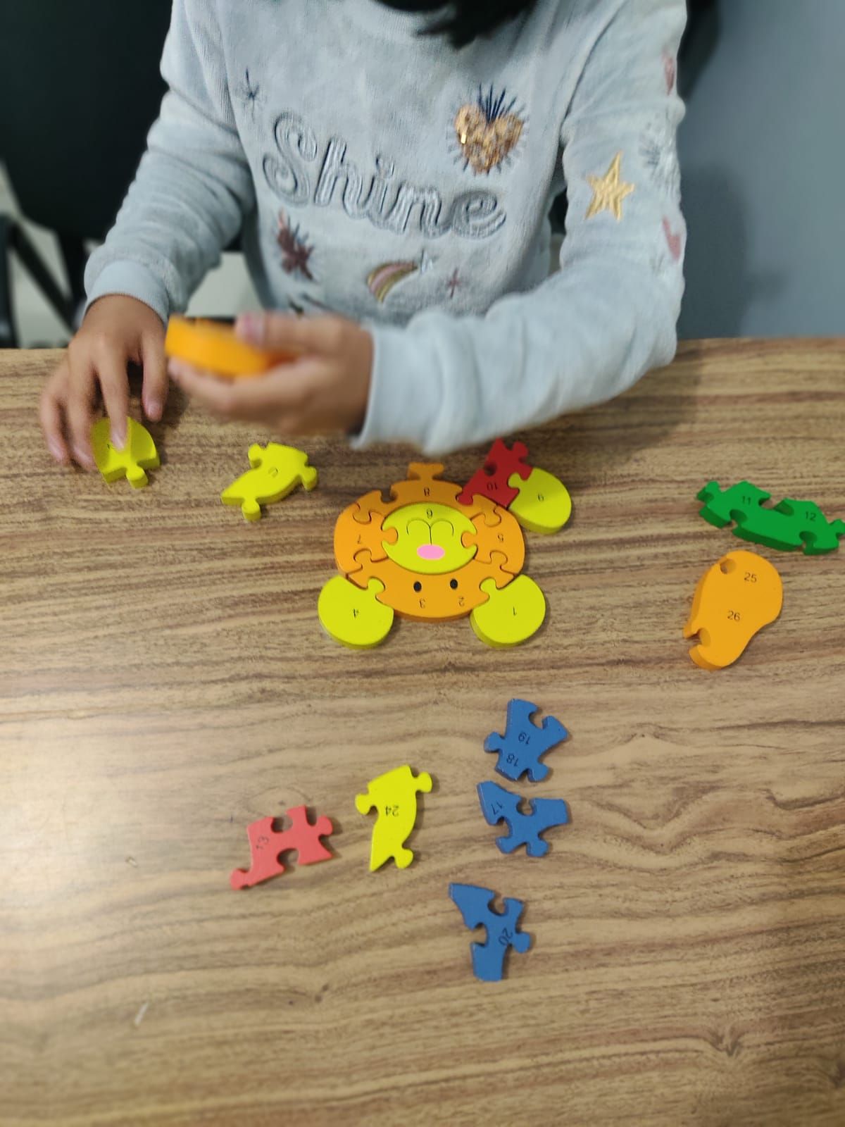 Elizabeth Castañeda González-21