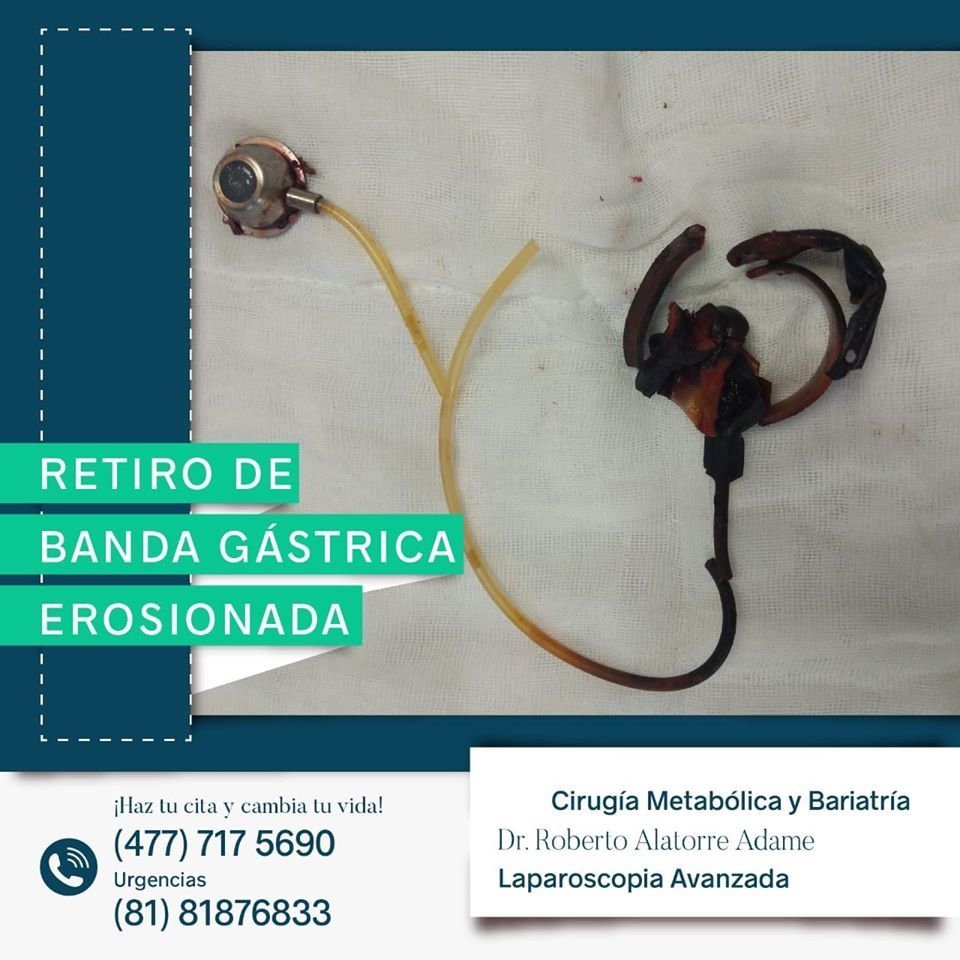 Roberto Alatorre Adame-7