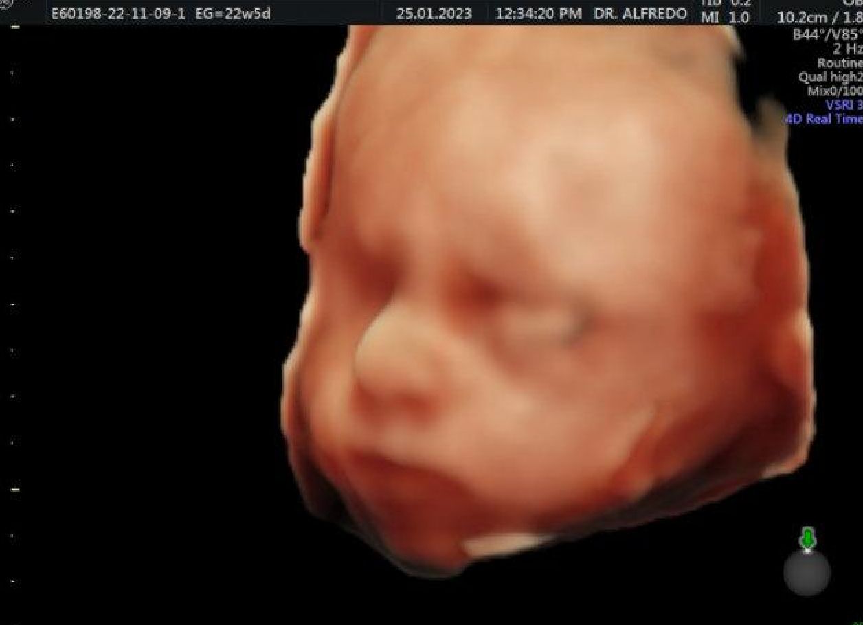 Alfredo Ramírez Cárdenas-2