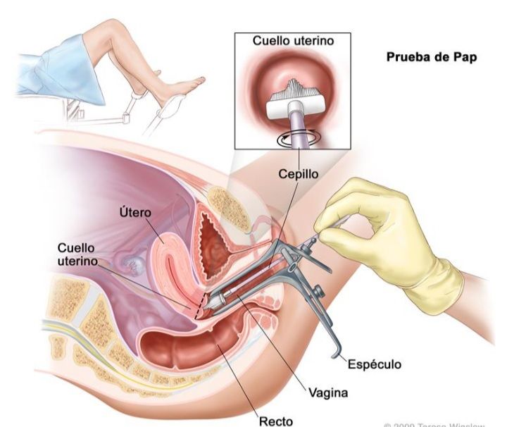 Yesenia Sánchez Arias-13