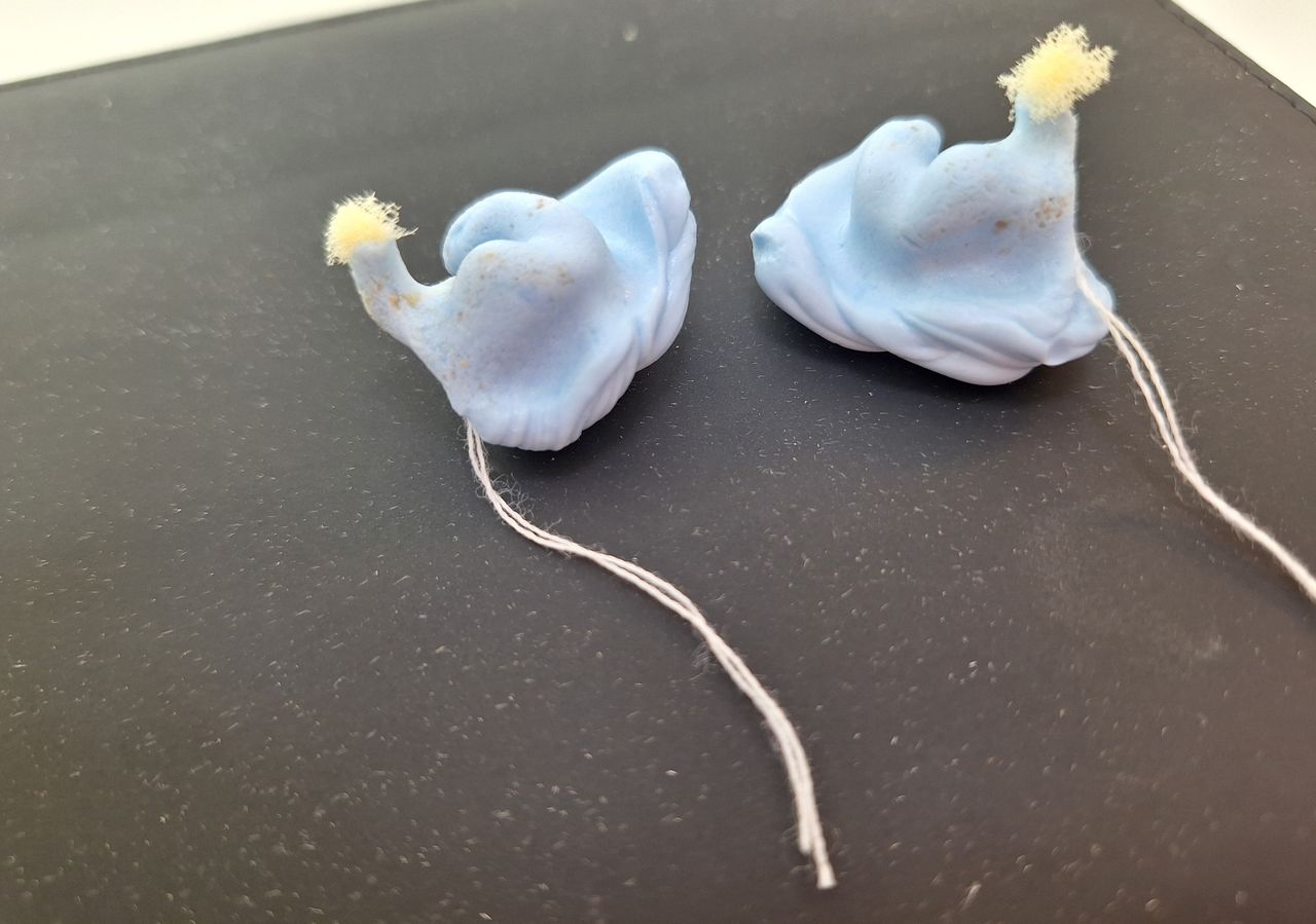 María Del Socorro Gutiérrez Bautista-18