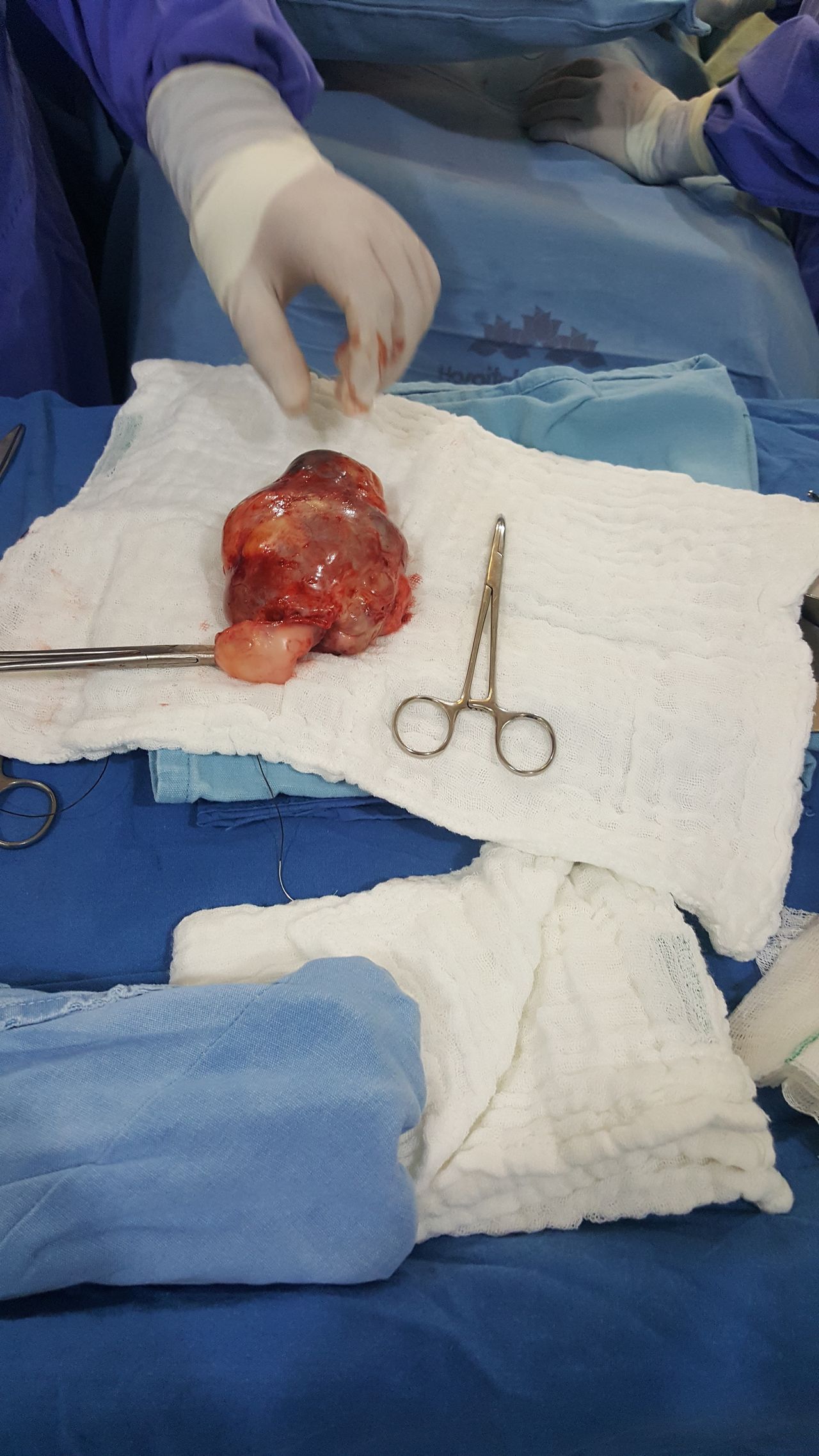 Miguel Angel Calderón Llanderal-14