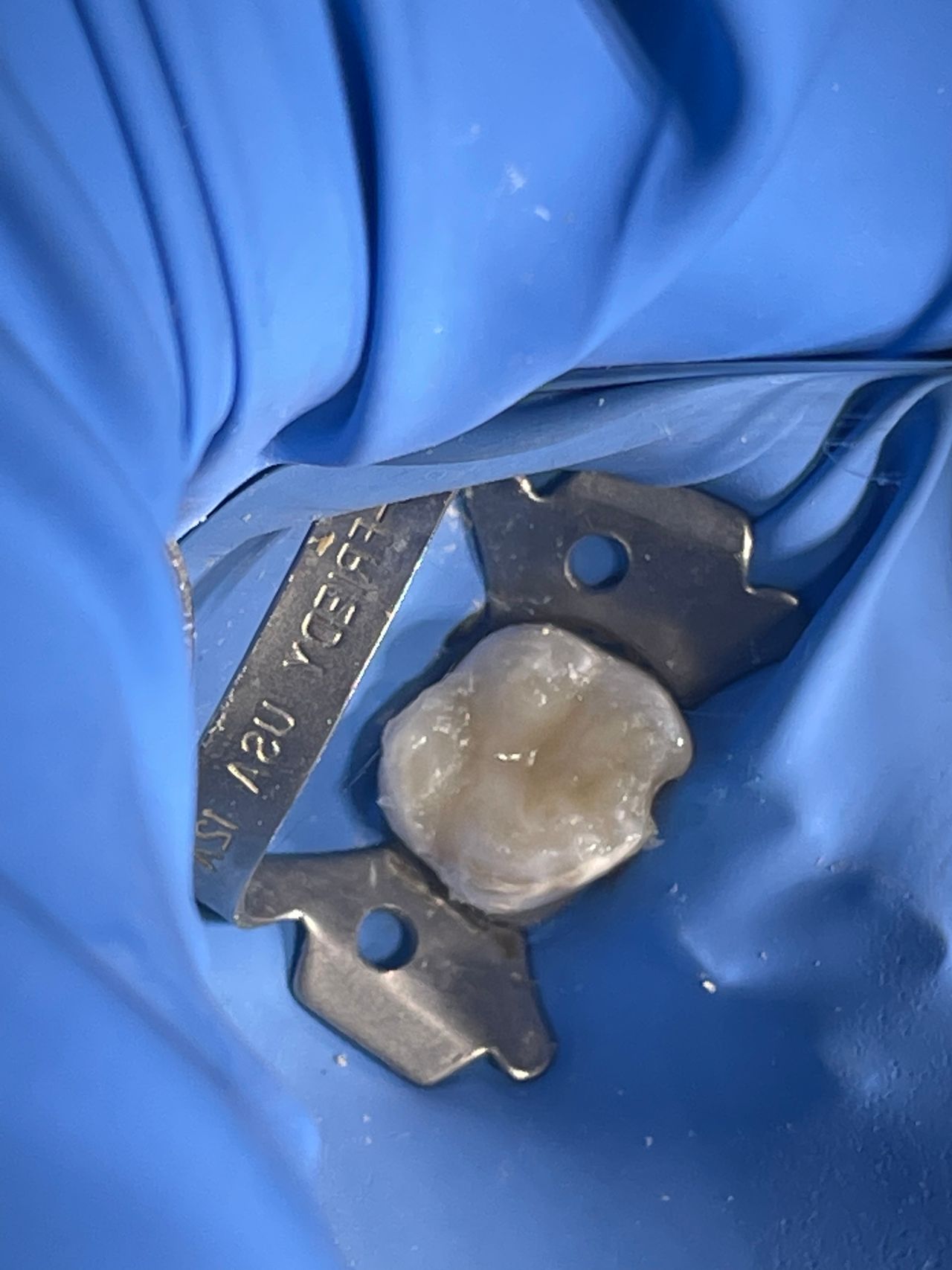 Luis Ernesto Calva Valdez-4