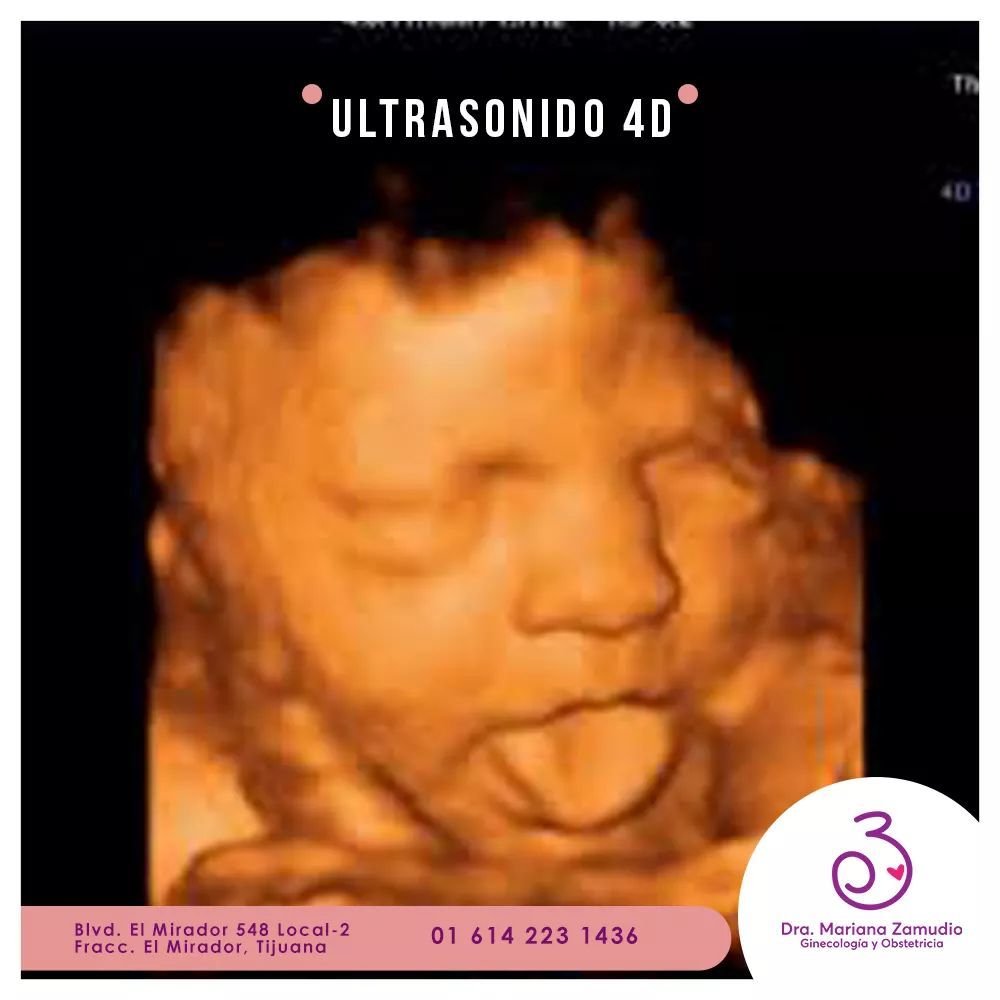 Carla Mariana Zamudio Valdez-3