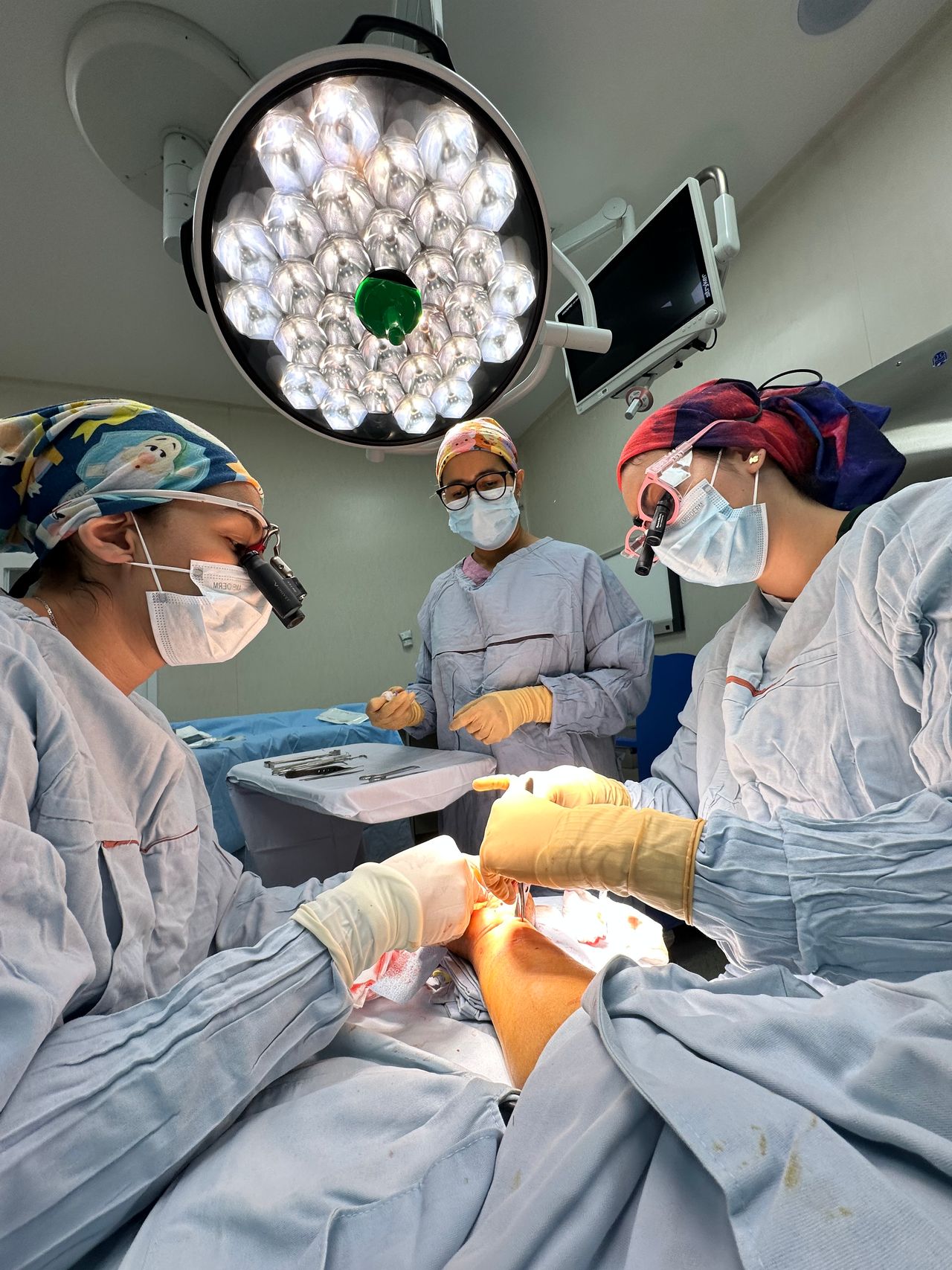 Ana Karenina Arana Parada-8