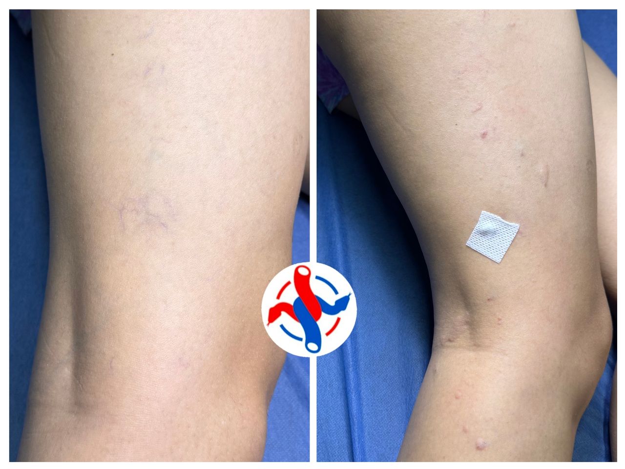 José Reyes Gómez Romo-5