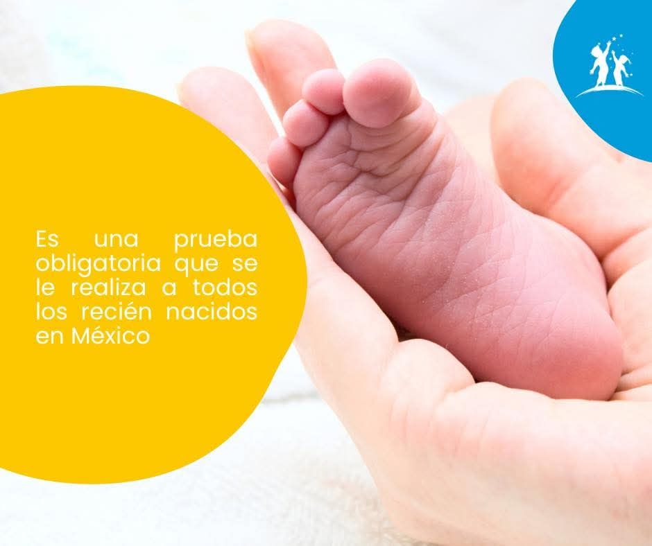 Nallely Karina Monter Ramírez-7