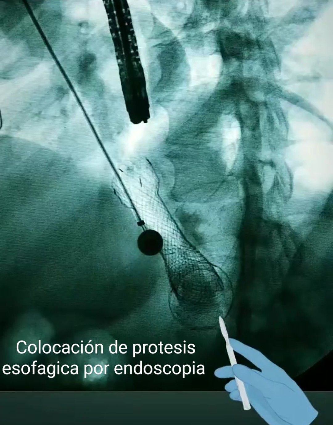 Manuel Alfonso Peña Vergara-11