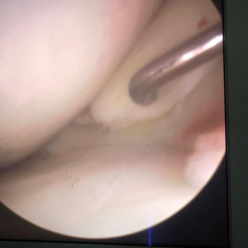 César Gerardo Nuncio Hernández-3