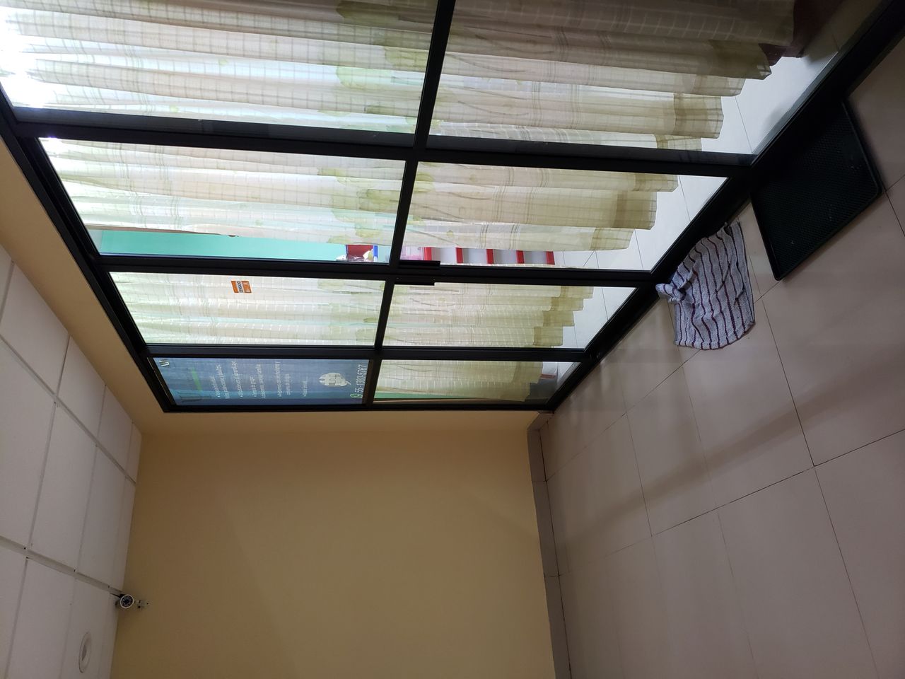 Delia Vásquez Lemus-1