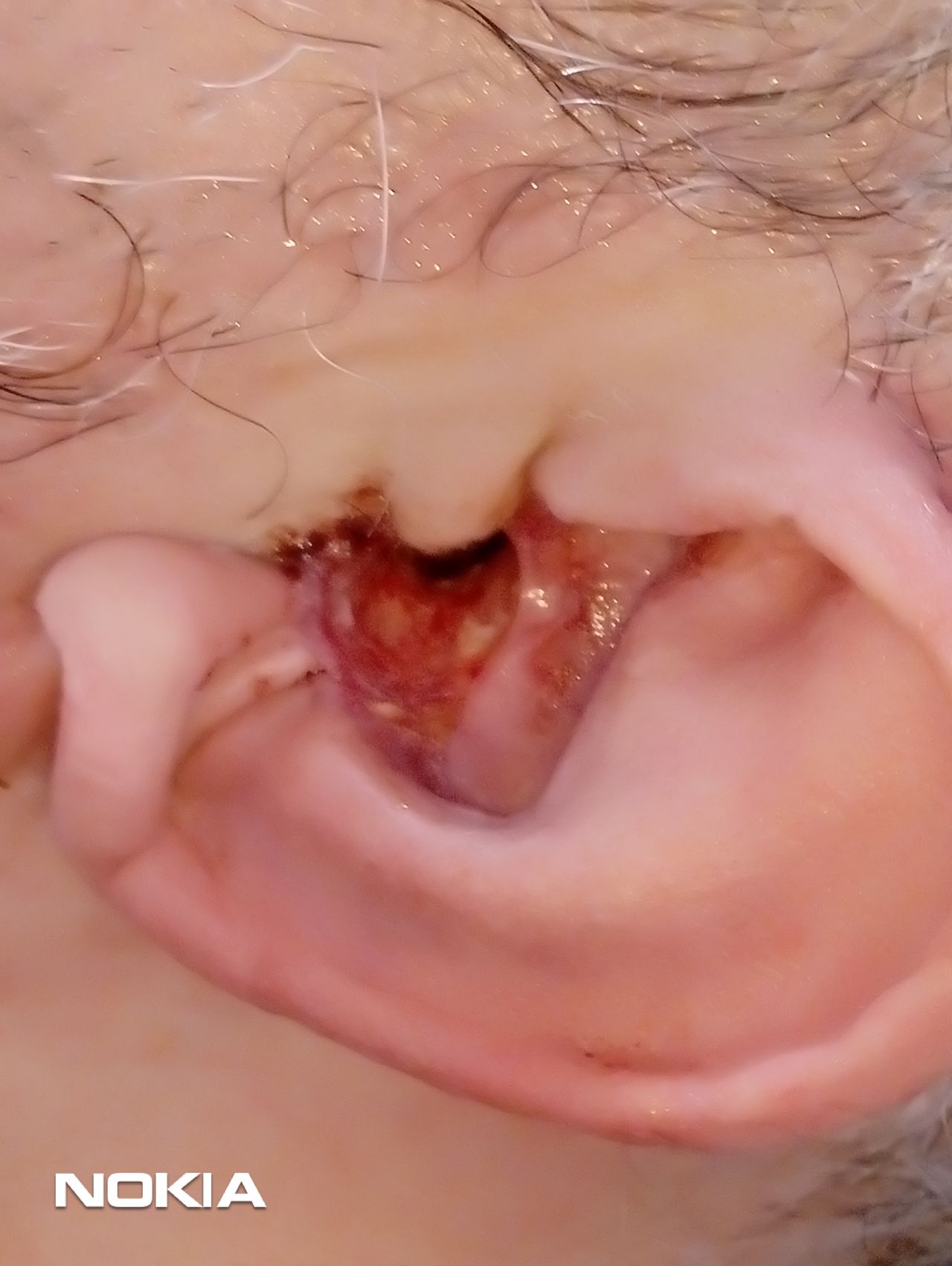 Guillermina Ramírez Orozco-0