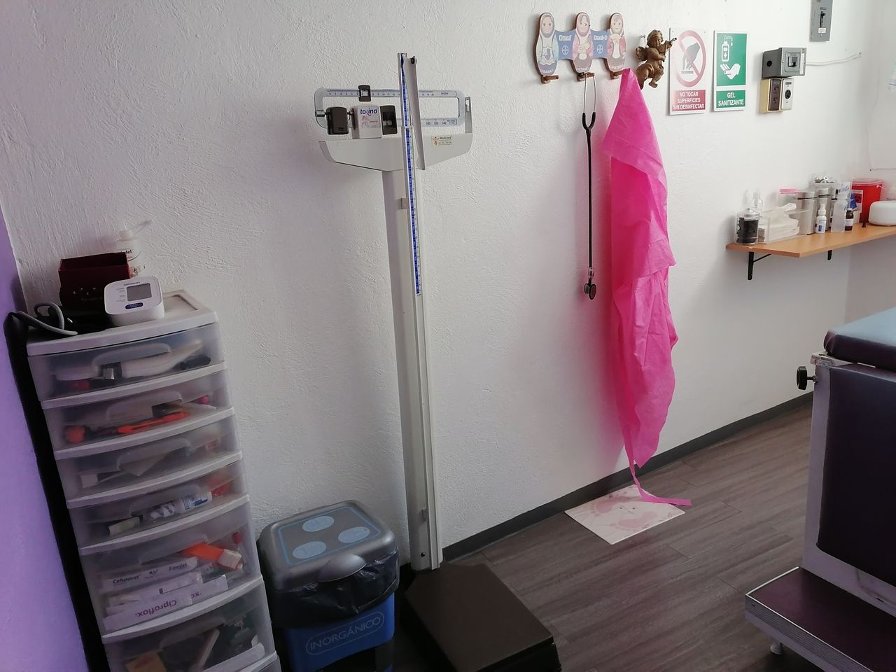 Alejandra Rivero Cedillo-1