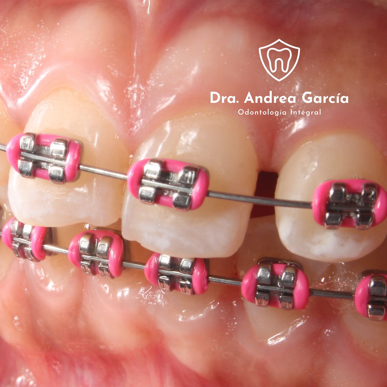 Andrea Hernández Garcia-1