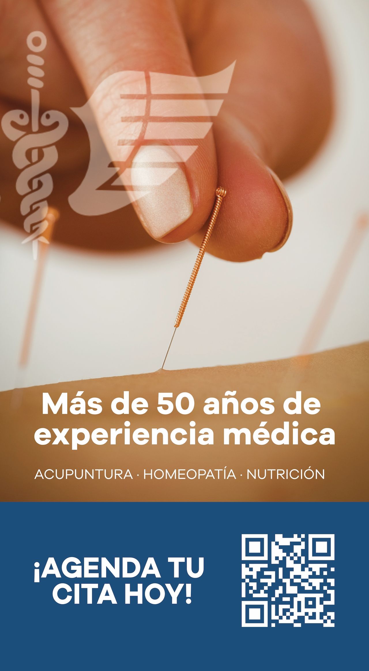 Silvia Dorantes Cárdenas-15