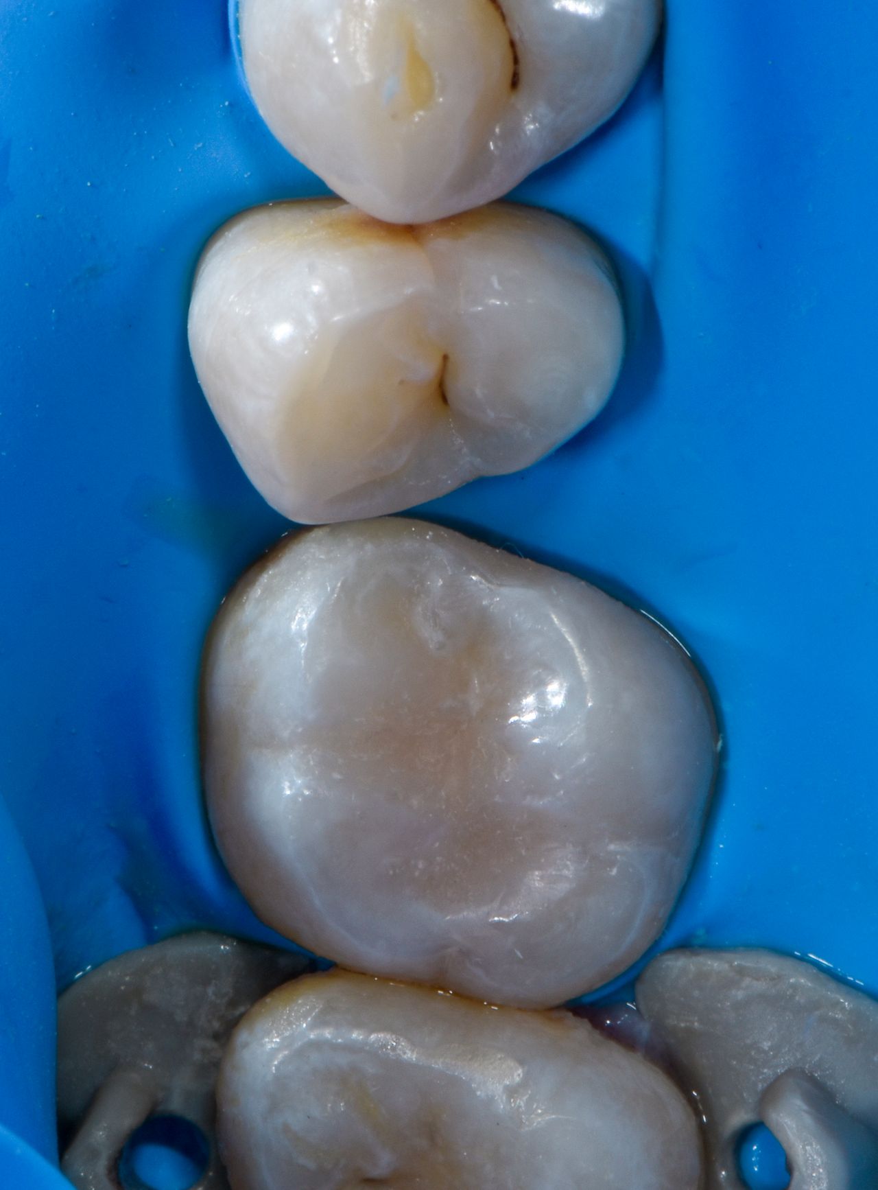 Marco Antonio Silva-1