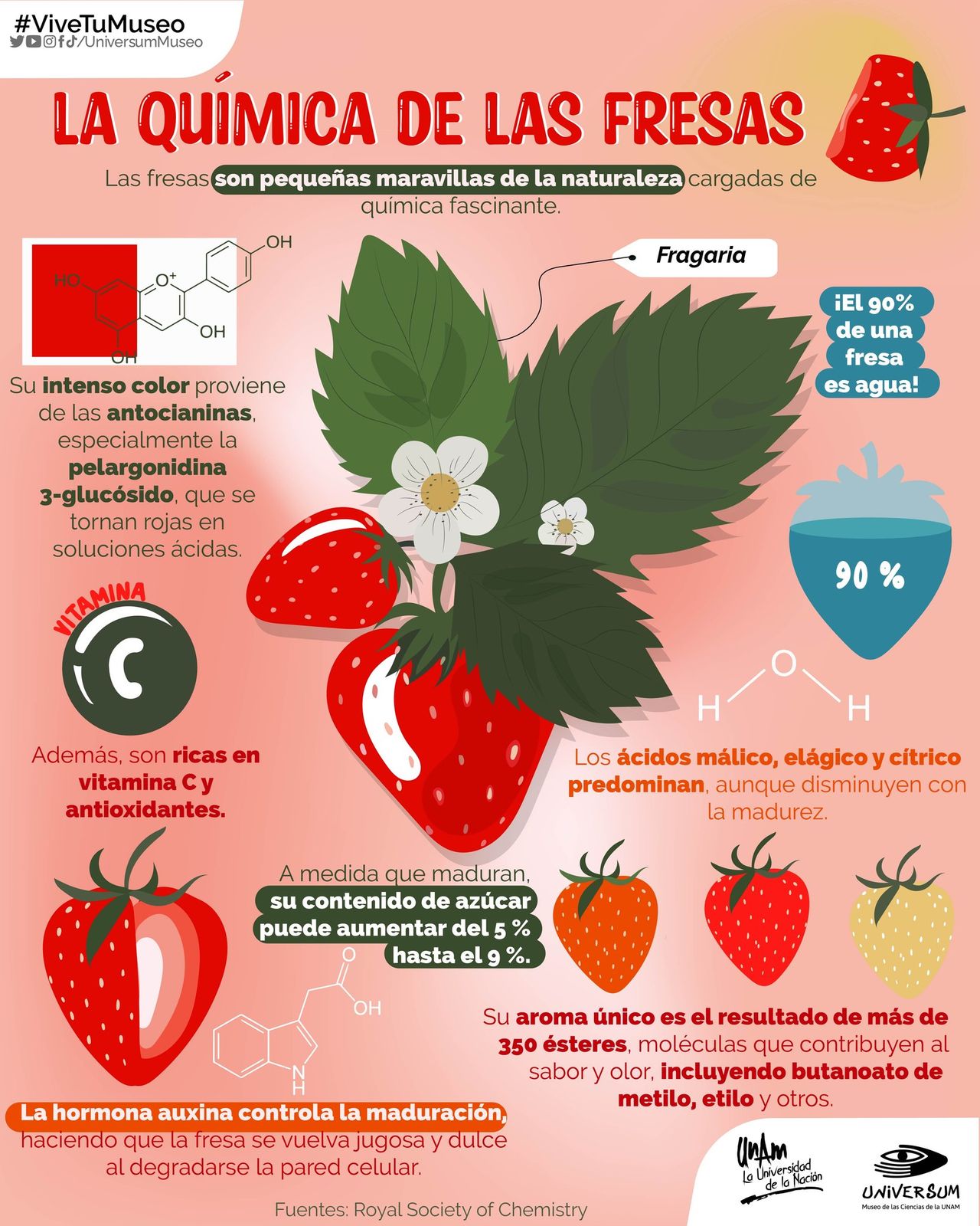 Raymundo Alejandro Cuevas Escalante-41