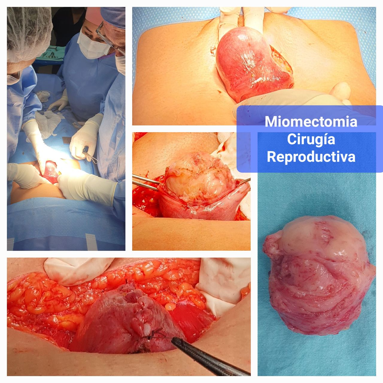 Jorge Alberto Rodriguez Pezino-17