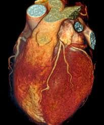 Carlos David Escobedo Uribe-1