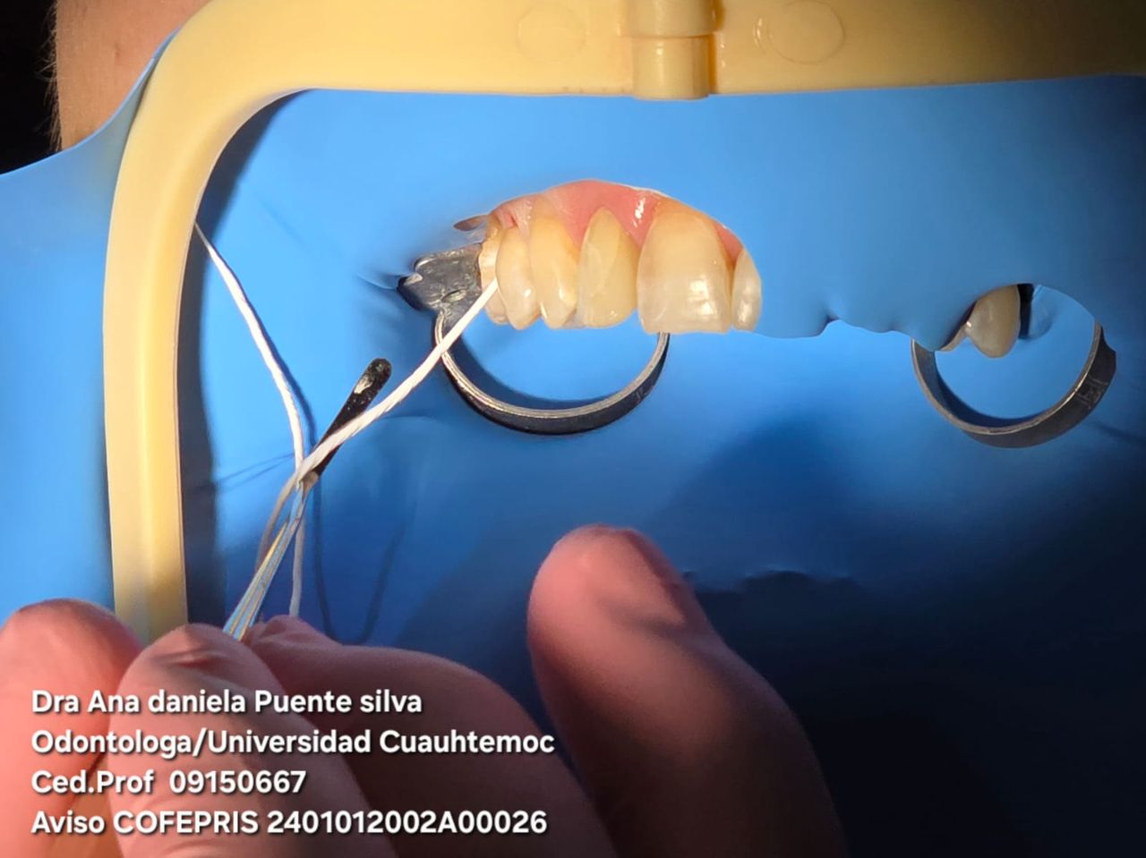 Ana Daniela Puente Silva-23