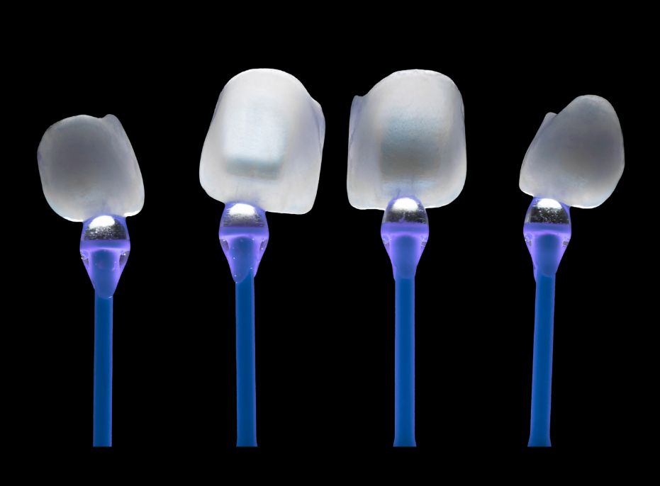 Stephanie S. Ramirez Salcedo-19