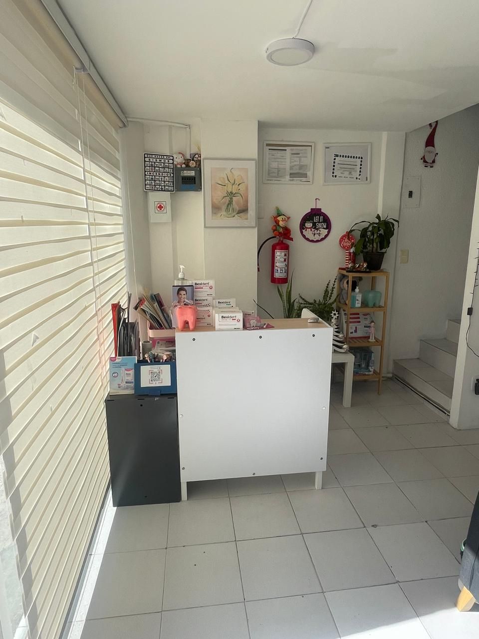 Briceida Martínez Casado-3