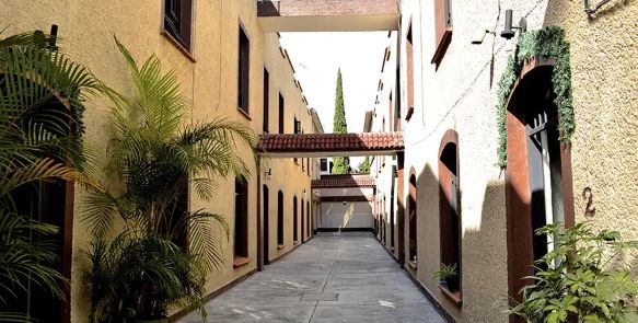 Pedro Pacheco Vargas-1