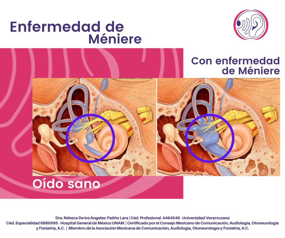 Rebeca Patiño Lara-10